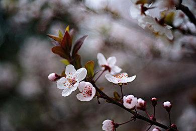 沙盒模拟游戏《最远的边陲》新预告 8月9日抢先体验